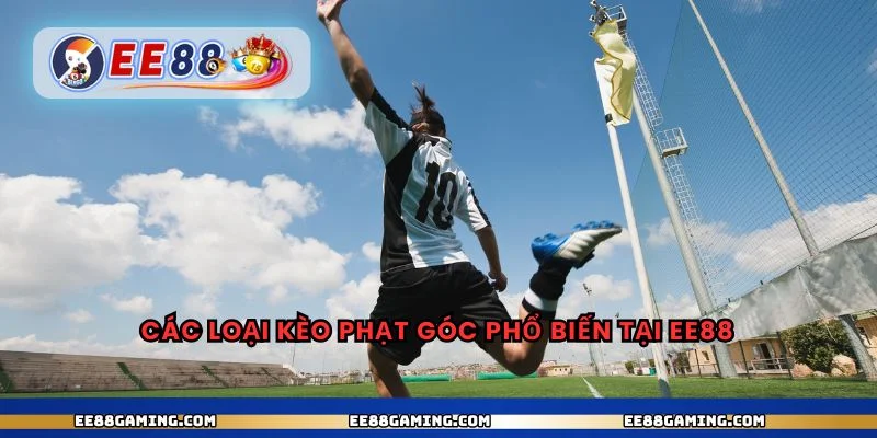 Các loại kèo phạt góc phổ biến tại ee88
