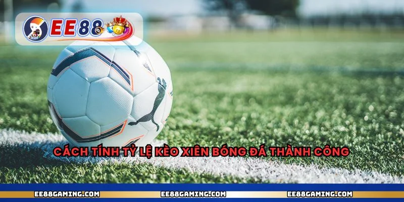 Cách tính tỷ lệ kèo xiên bóng đá thành công