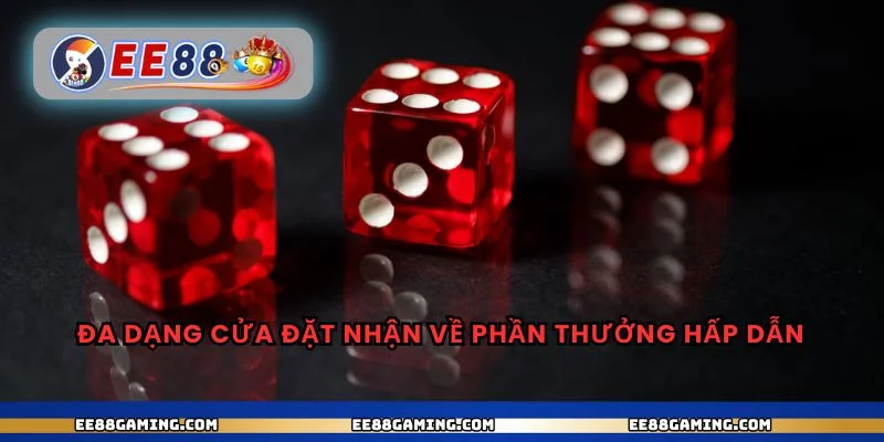 Đa dạng cửa đặt nhận về phần thưởng hấp dẫn