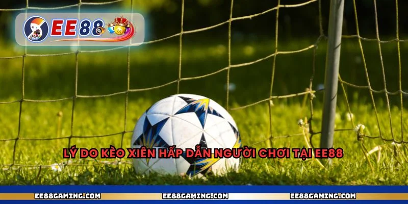 Lý do kèo xiên hấp dẫn người chơi tại ee88