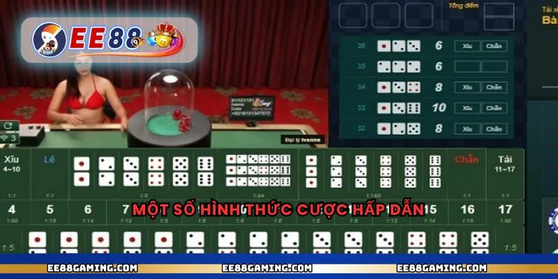 Một số hình thức cược hấp dẫn